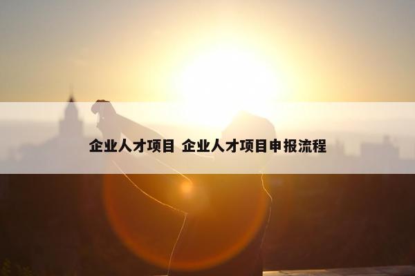 企业人才项目 企业人才项目申报流程