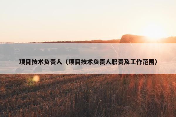 项目技术负责人（项目技术负责人职责及工作范围）