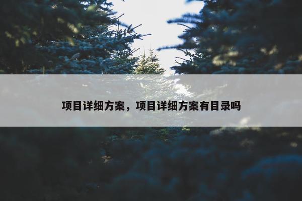 项目详细方案，项目详细方案有目录吗