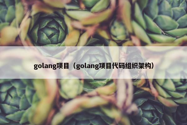 golang项目（golang项目代码组织架构）