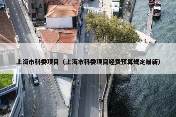 上海市科委项目（上海市科委项目经费预算规定最新）