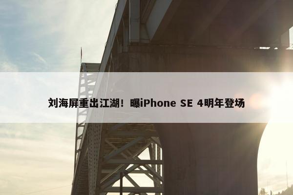 刘海屏重出江湖！曝iPhone SE 4明年登场