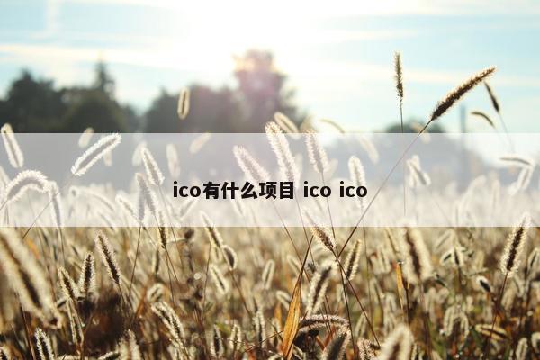ico有什么项目 ico ico