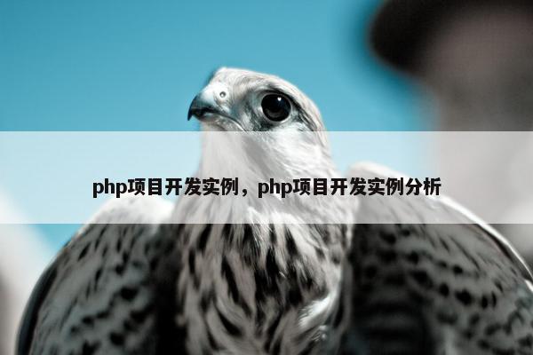 php项目开发实例，php项目开发实例分析
