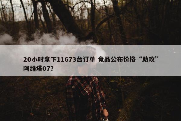 20小时拿下11673台订单 竞品公布价格“助攻”阿维塔07？