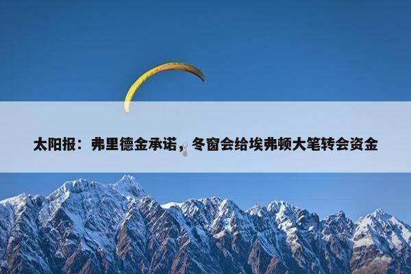 太阳报：弗里德金承诺，冬窗会给埃弗顿大笔转会资金