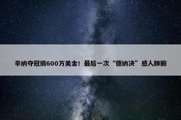 辛纳夺冠摘600万美金！最后一次“德纳决”感人肺腑